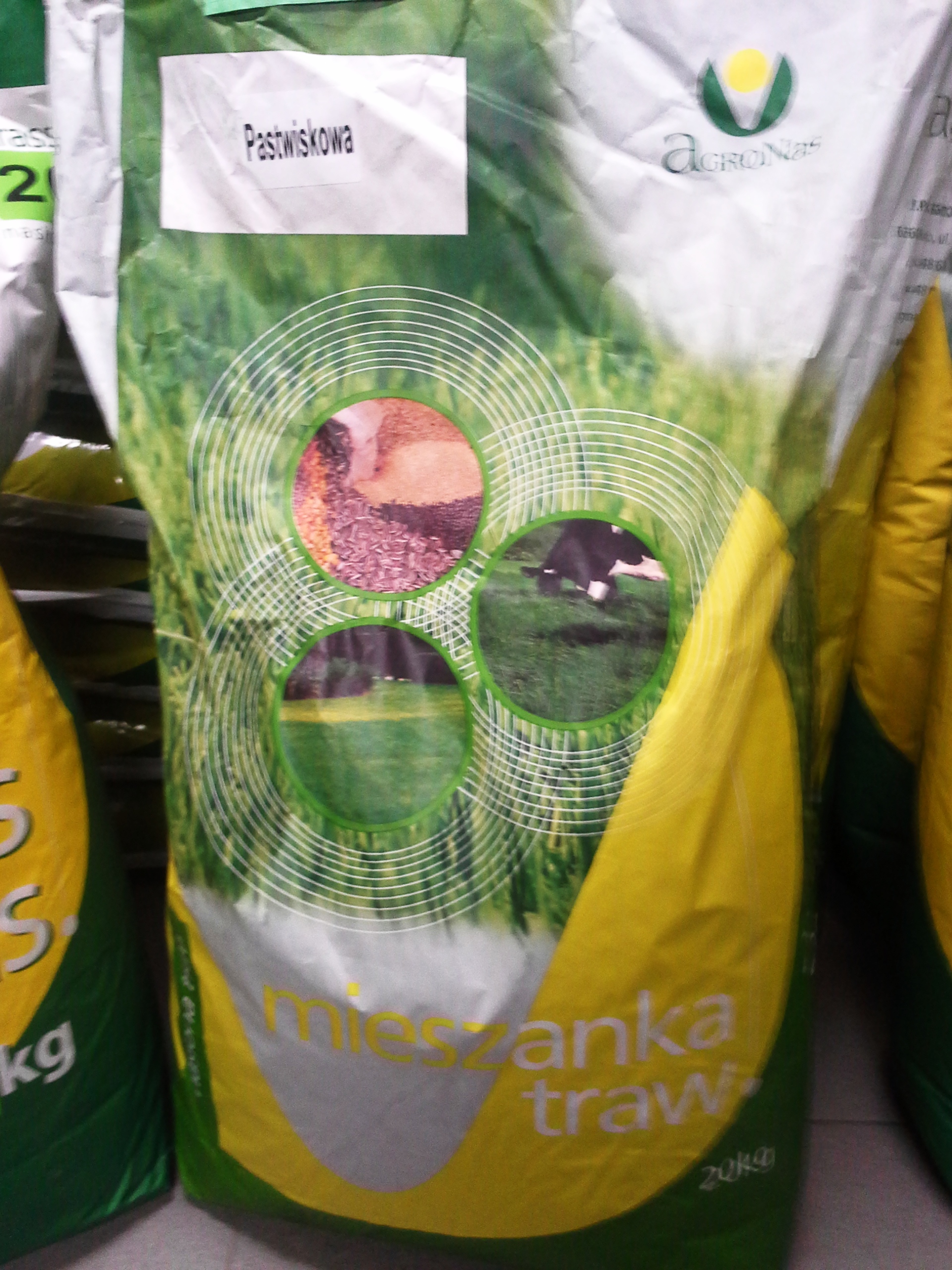 Nasiona traw, PAstewna dla krów mlecznych