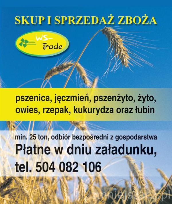 skup zboża pszenica pszenżyto owies jeczmień żyto groch bobik tel.504082106
