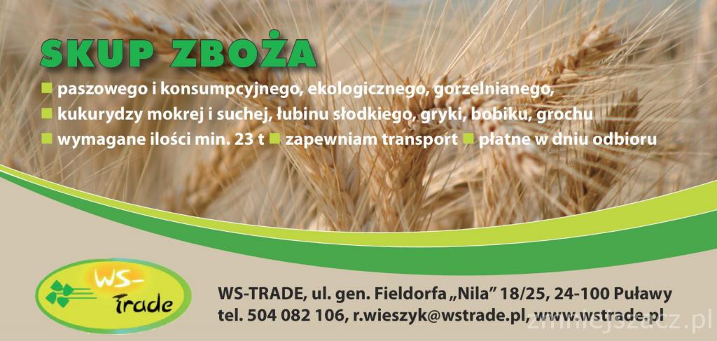 kupię pszenżyto- skup pszenżyta