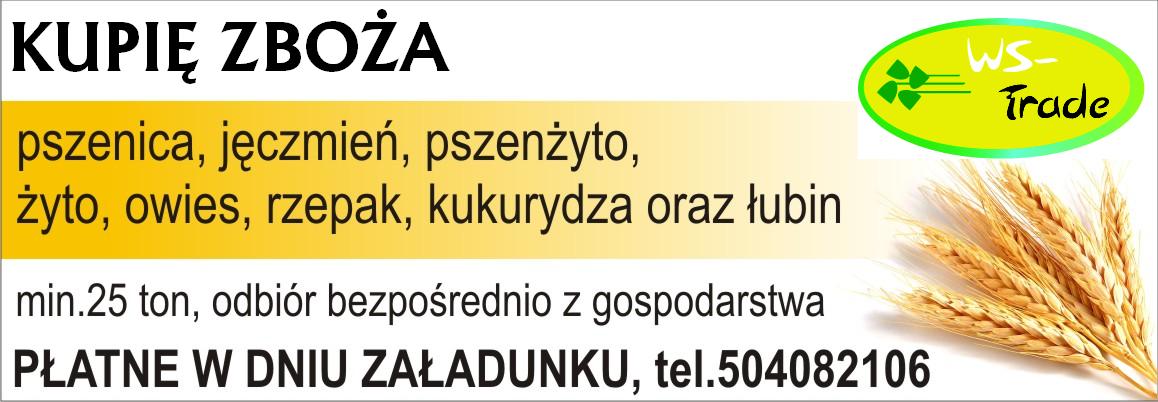 kupię groch- skup grochu