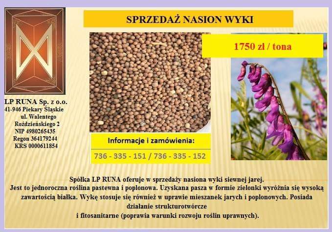 Sprzedaż nasion wyki