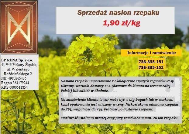 Sprzedaż nasion rzepaku