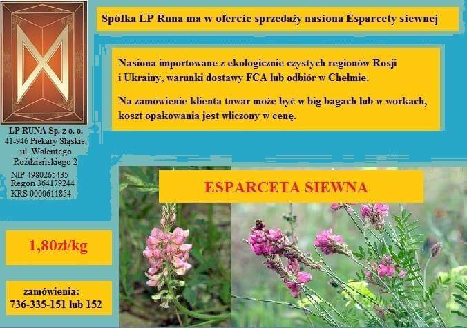 Sprzedaż nasion Esparcety siewnej