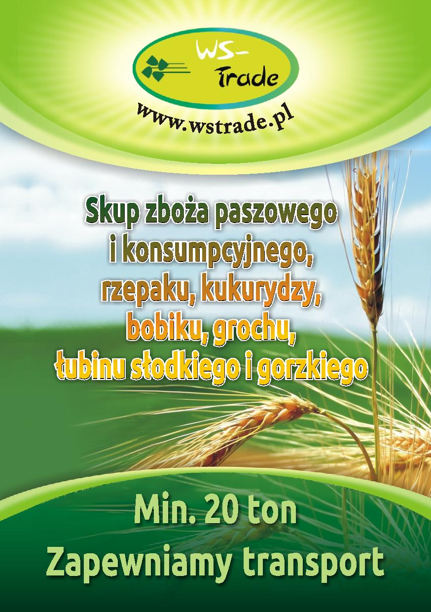 skup zbóż ekologicznych