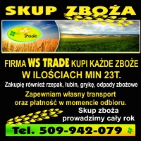 Skup zbóż, min 20t, płacimy w dniu odbioru