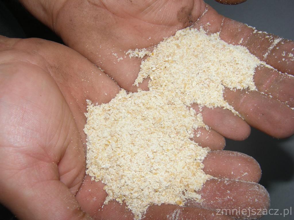 Kukurydza w rekawie (śrutowana)