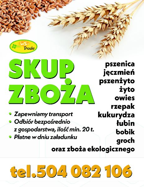 skup zboża: pszenicy, pszenżyta , owsa, jęczmienia, żyta