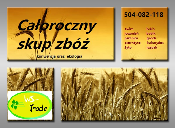 Kupię zboża ekologiczne i konwencjonalne