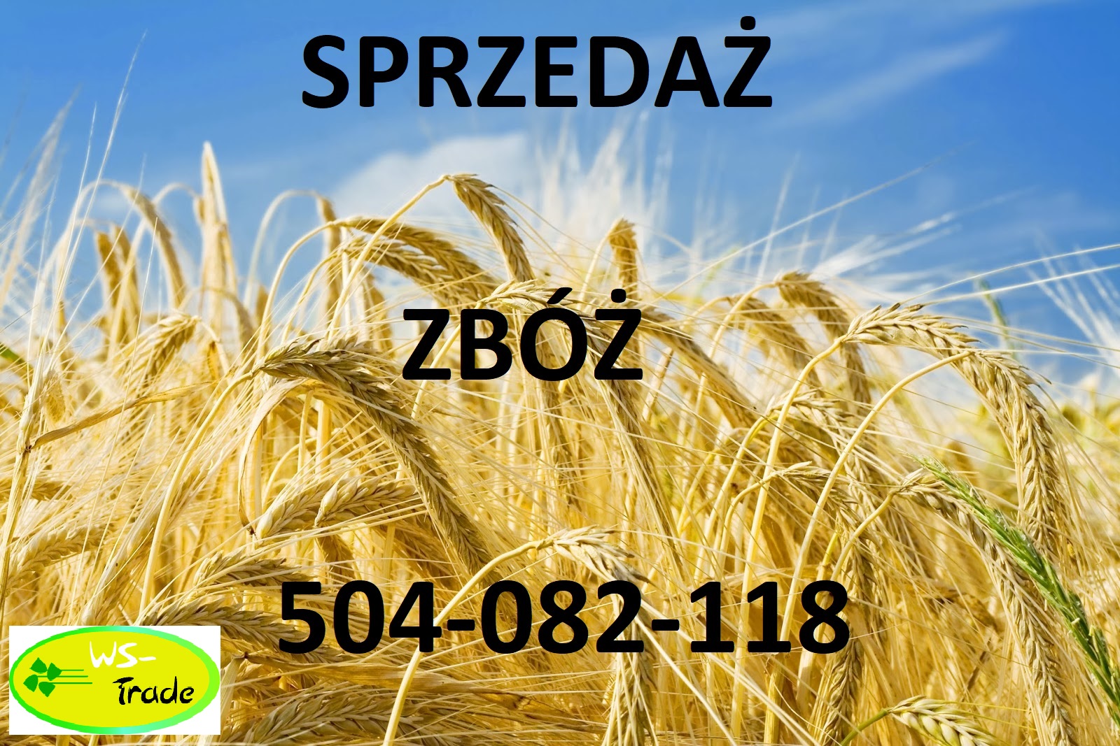 Skup zbóż całoroczny