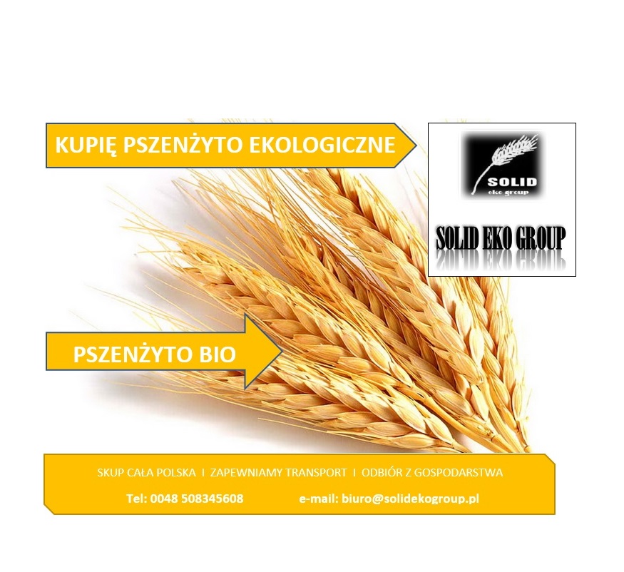 Kupię pszenżyto ekologiczne