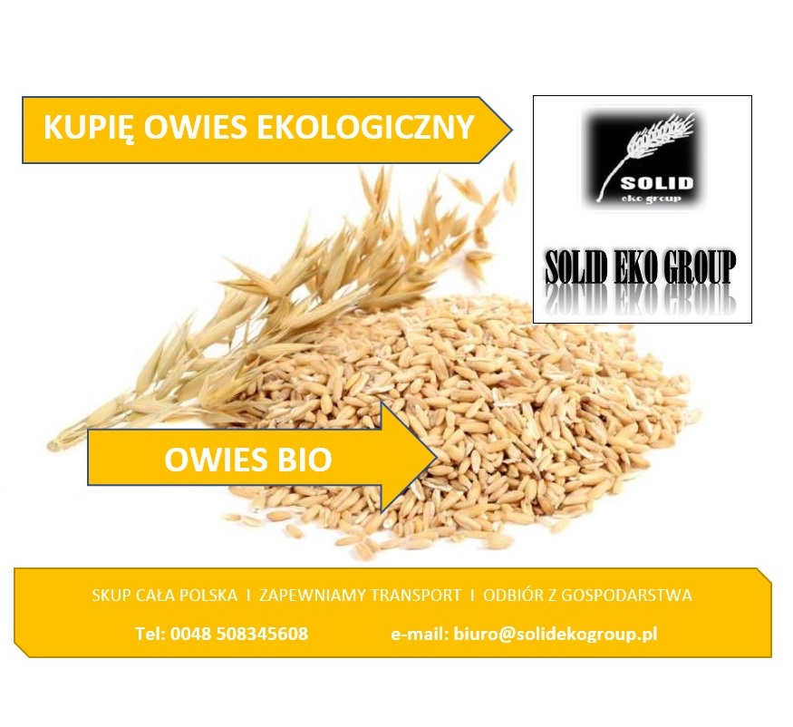 Kupię owies ekologiczny