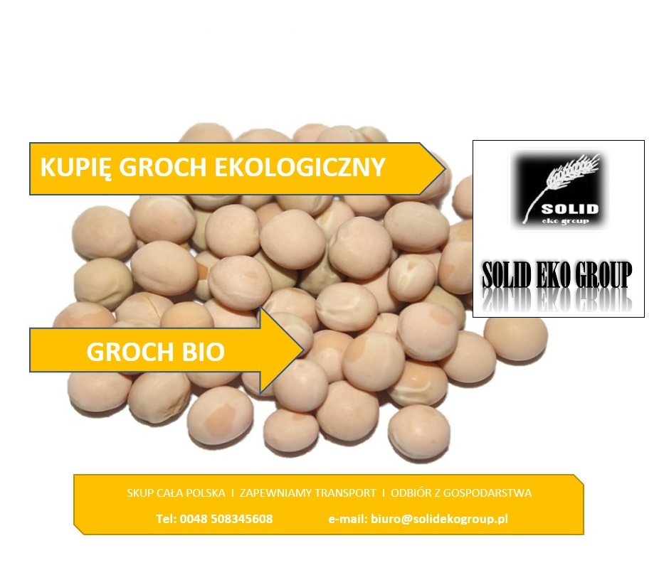 Kupię groch ekologiczny