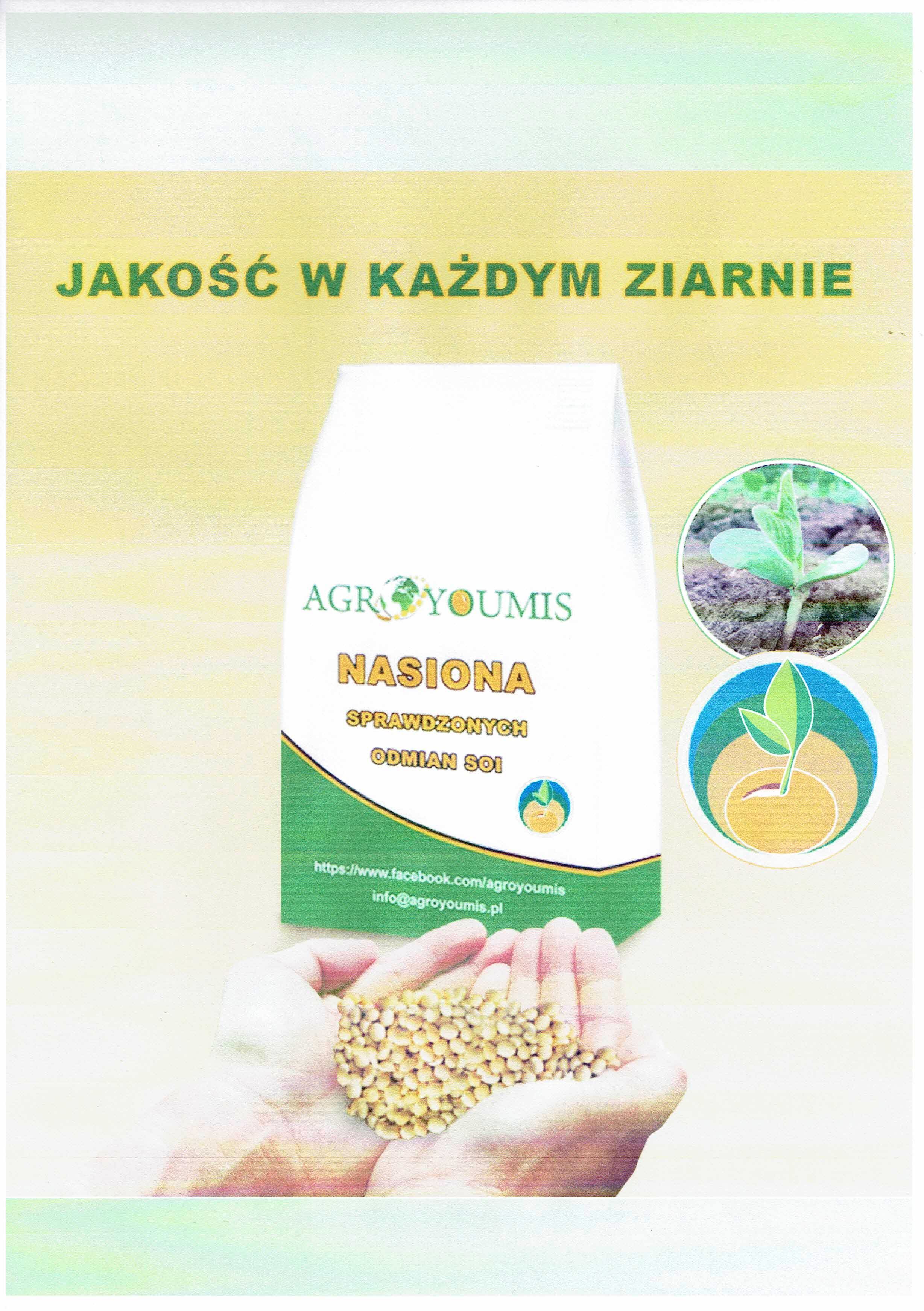 materiał siewny  soi
