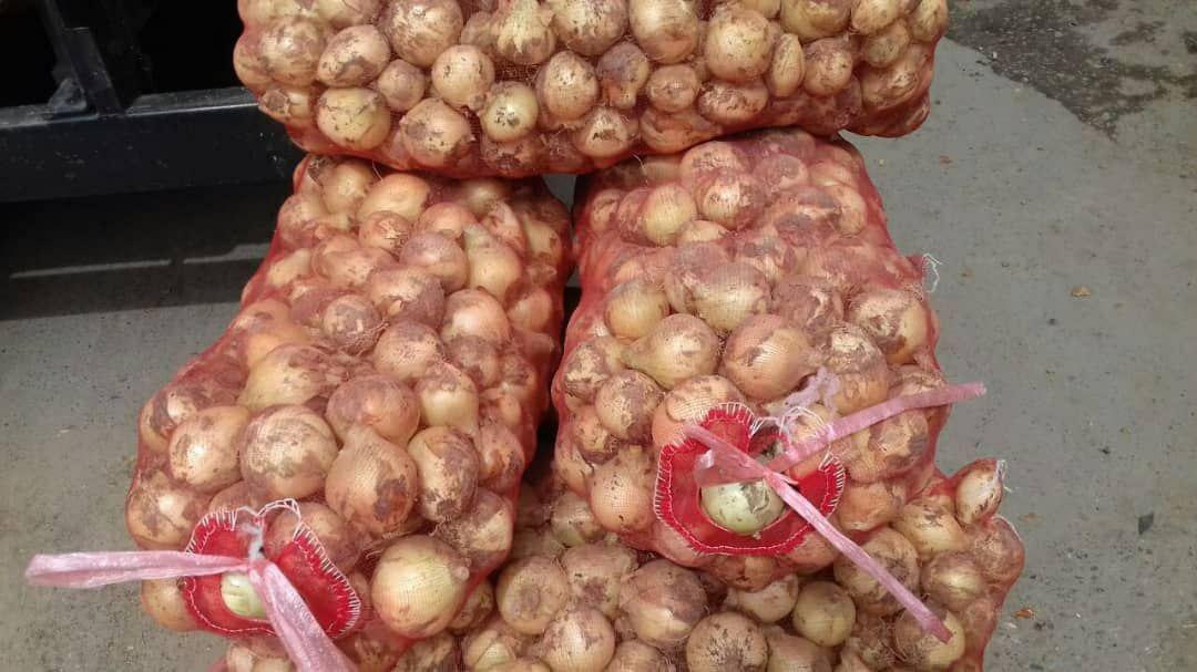 CEBULA sprzedaz od 20 ton.  z nowych zbiorów