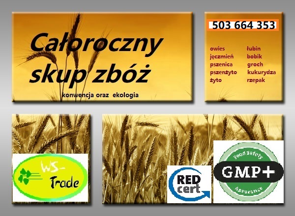 Kupię jęczmień pszenzyto owies i inne